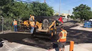 Best Driveway Border and Edging  in Lake Cherokee, TX